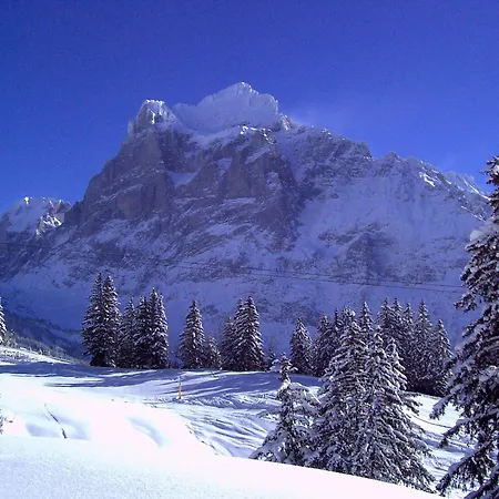 イン アルテ ポスト 3*