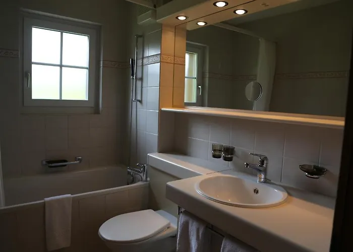 アルテ ポスト 3* グリンデルヴァルト